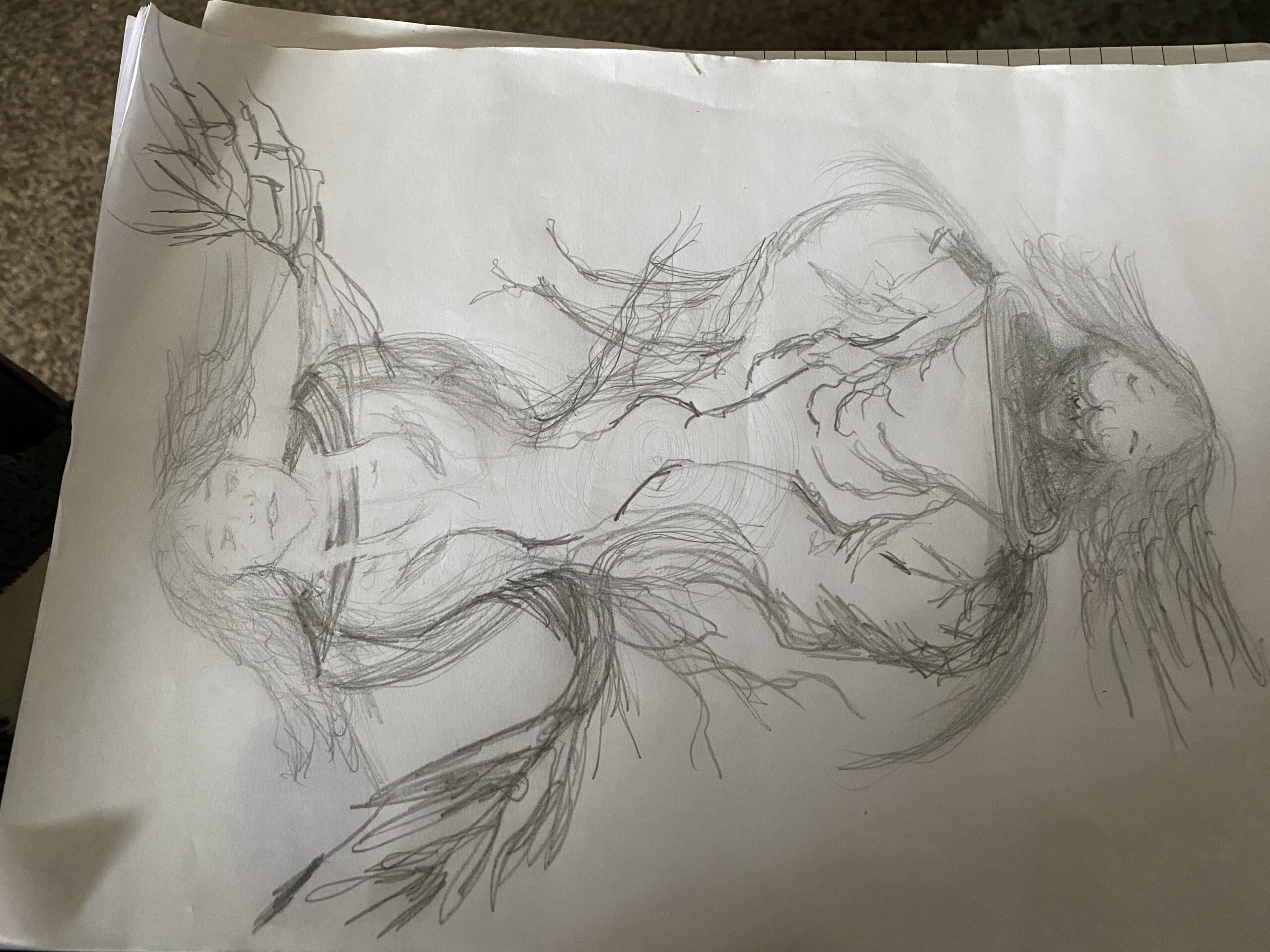 what do you see?
